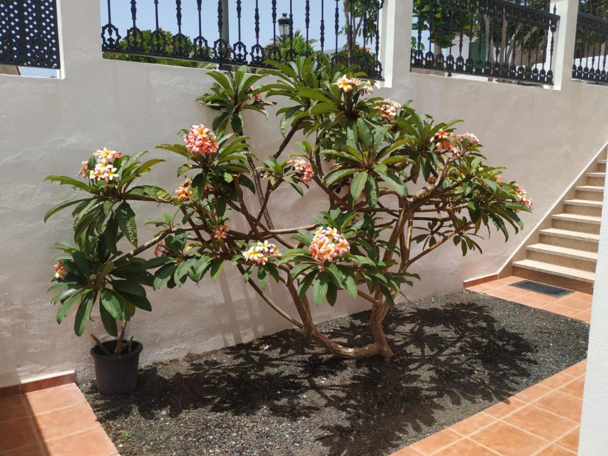 Apartmán Punta Negra Puerto de Santiago  Exteriér fotografie